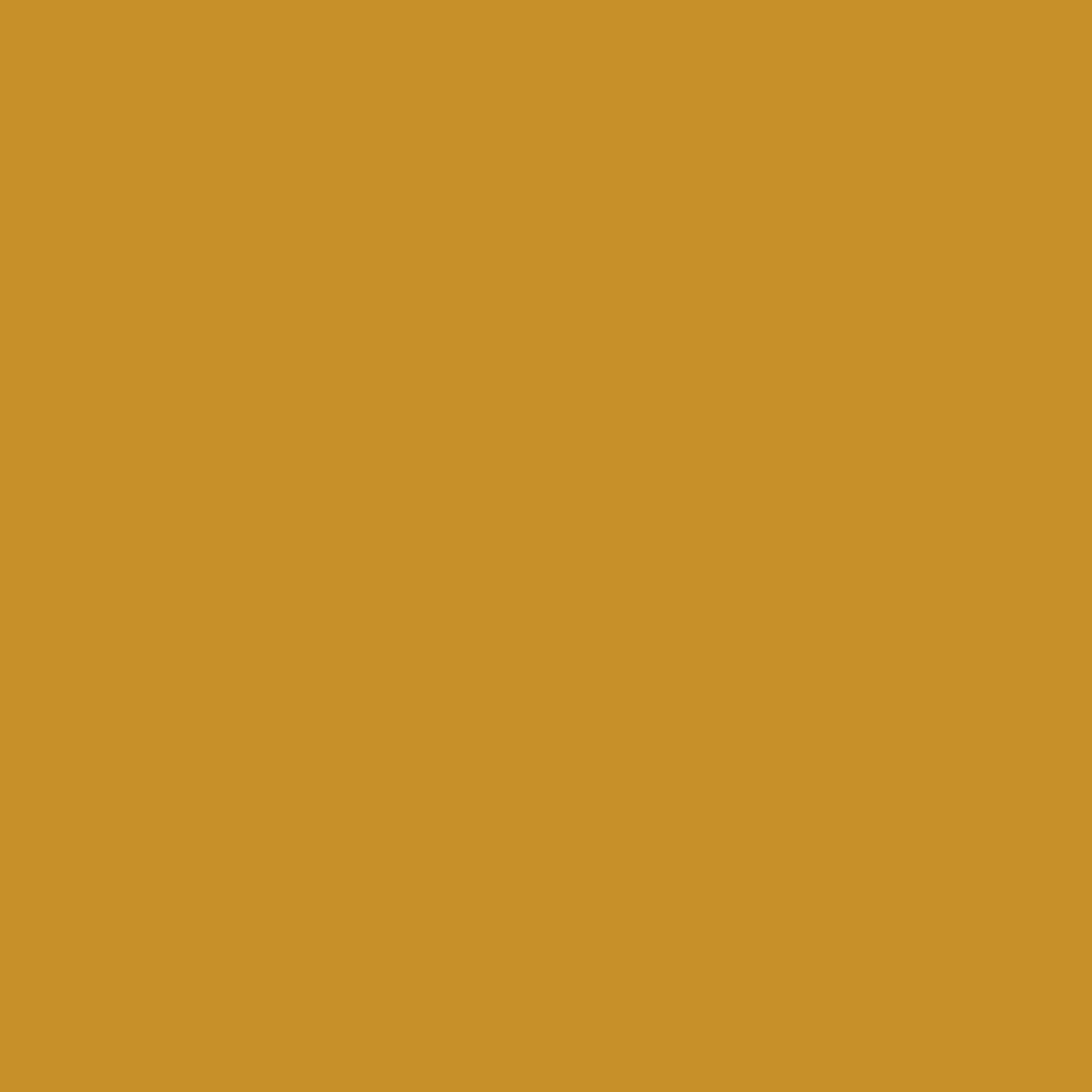 Ral colors_203